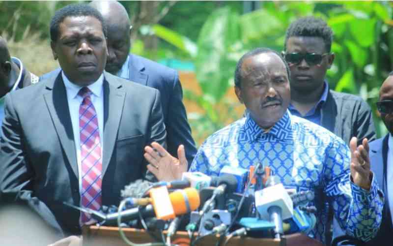Kalonzo, Karua, Wamalwa threaten to reject new IEBC team