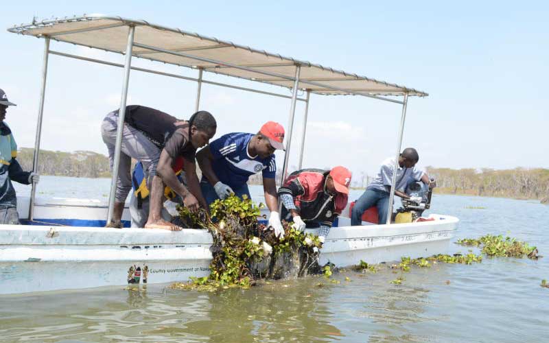 Waste from farms, hotels polluting Lake Naivasha –Environment Ministry