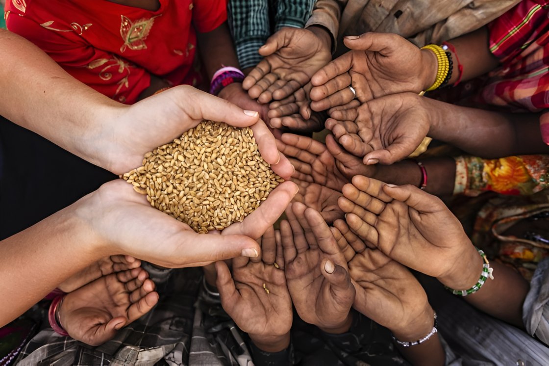 Global hunger crisis: 295 million people struggle with food insecurity in 2024
