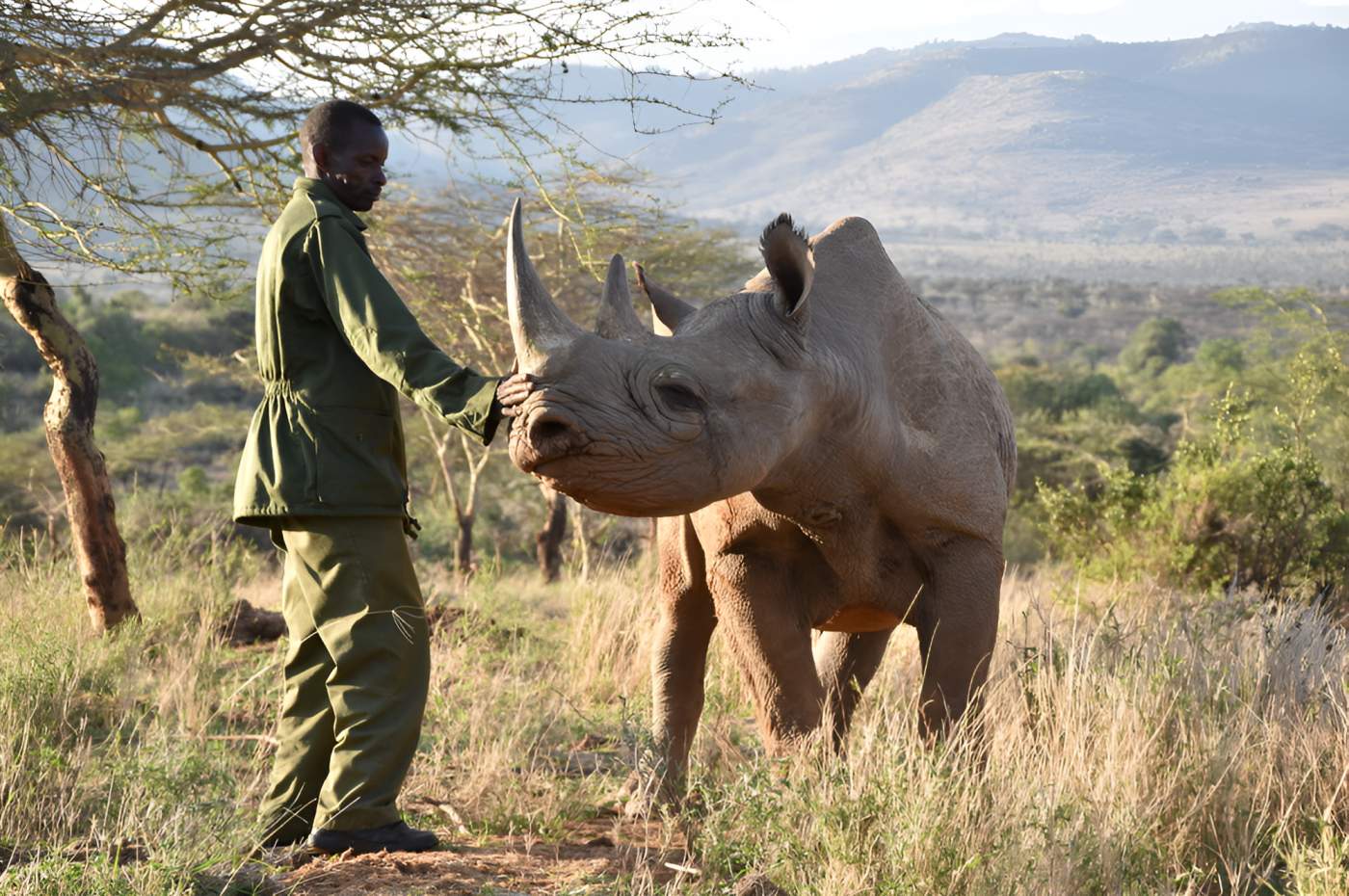 Kenya’s Rhino population climbs to 2,100 after four years of growth