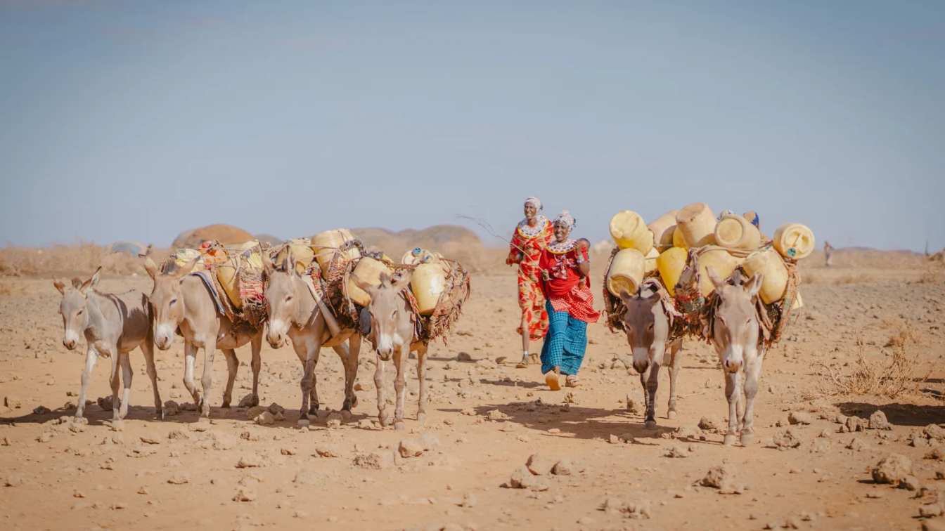 Projected global heat to remain unrelenting until 2029 – Report