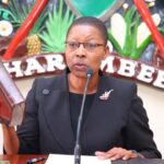 AG defends Trade Ministry as levy faces judicial review
