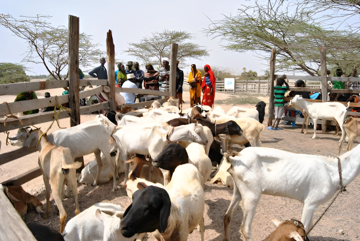 26 suspects linked to North Horr clashes