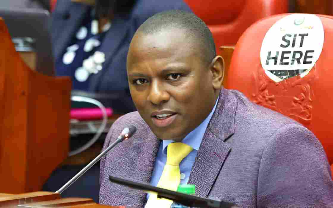 MP Ichung’wah: Declaring holidays is State's role, not opposition’s