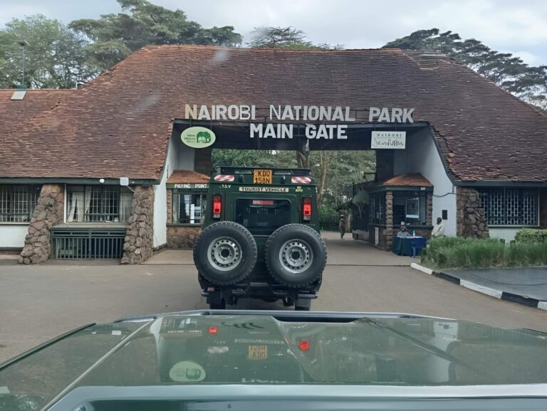 Probe begins after suspected toxic inflow reaches Nairobi National Park