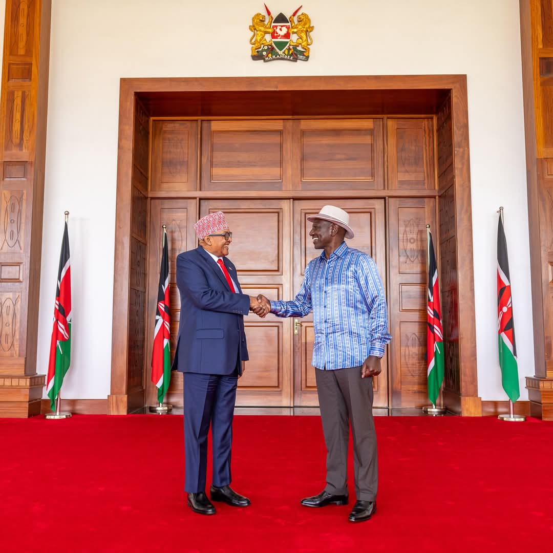 Ruto hosts Somaliland leader despite Kenya’s diplomatic concerns