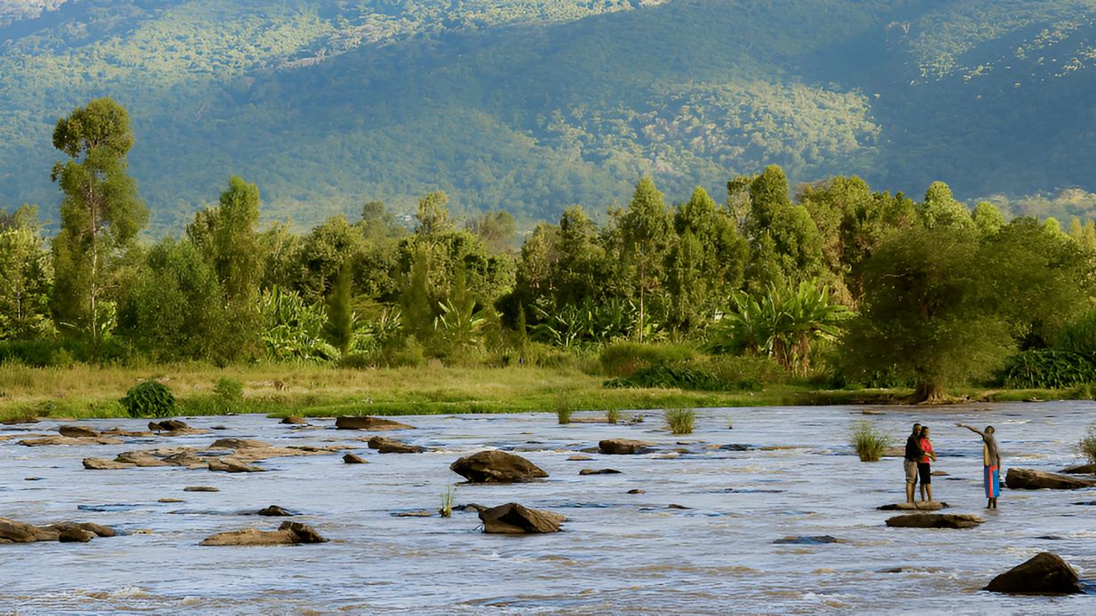 Mavoko residents plant Bamboo trees to restore polluted Athi River