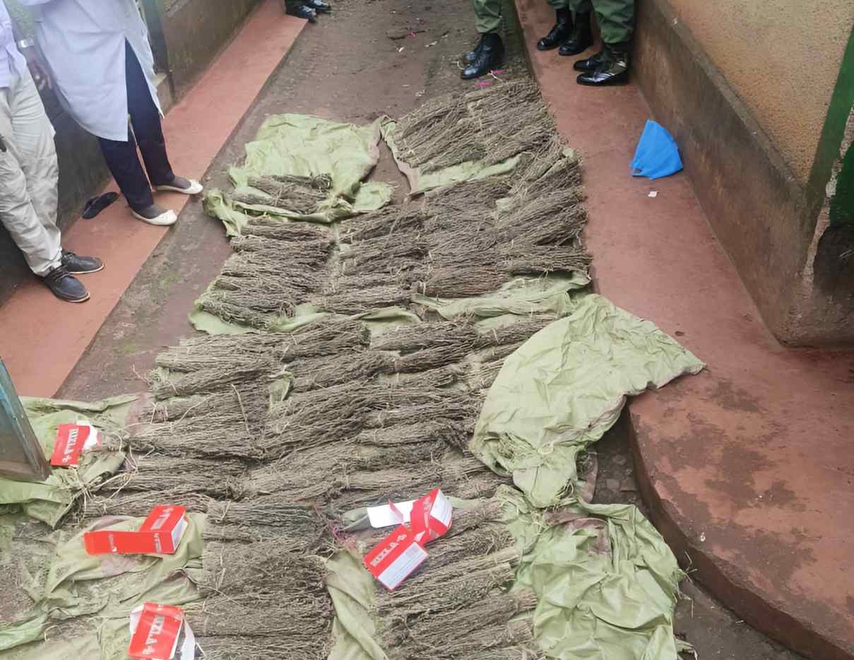 NACADA cracks down on illicit drug trade in Homabay and Kisii counties
