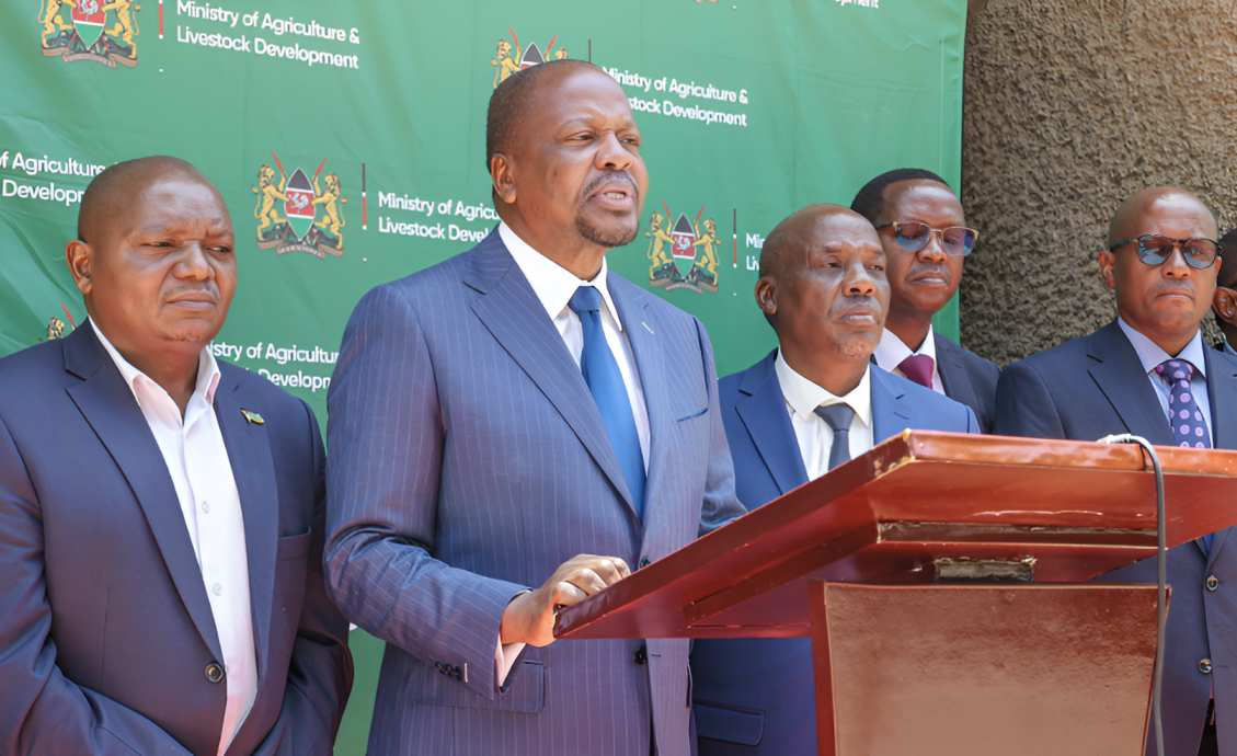 State releases maize reserves to ease soaring prices