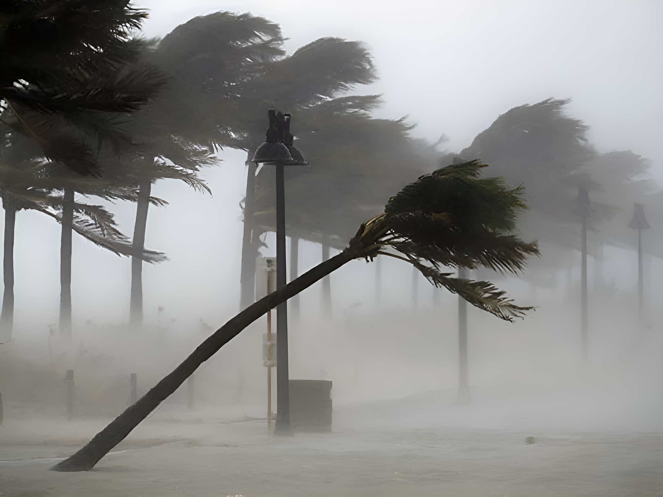 Strong winds, big waves set to hit Kenya’s coast and highlands