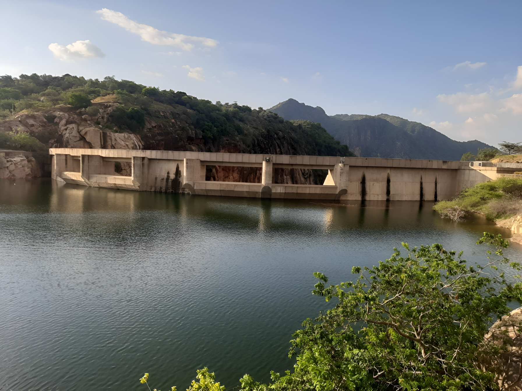Crocodile kills 7-year-old boy while bathing in West Pokot's River Turkwel