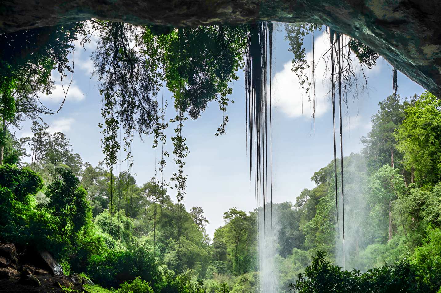Kenya marks world environment day 2025 with spotlight on environmental future