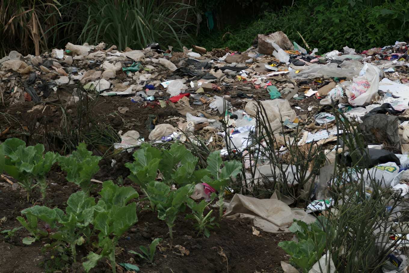 Garissa's plastic waste crisis threatens environment and health