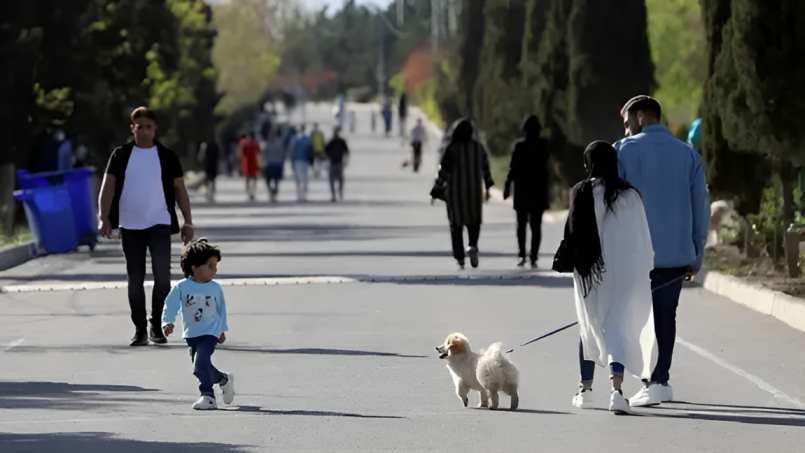 Iran widens crackdown on dog-walking in public