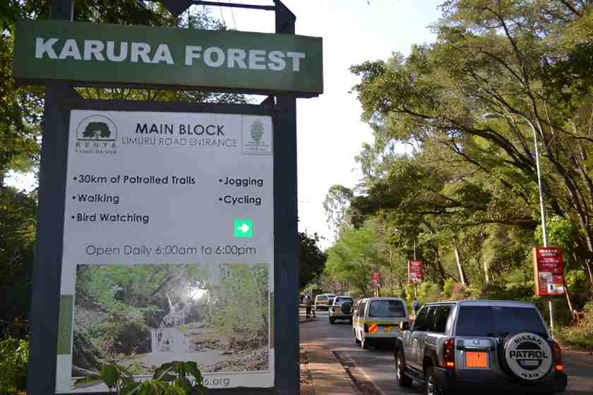 KFS clarifies Karura Forest felling plan as public raises concerns