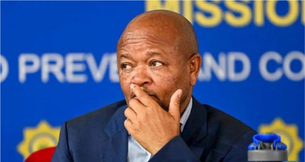 South Africa police minister accused of ties to criminal gangs