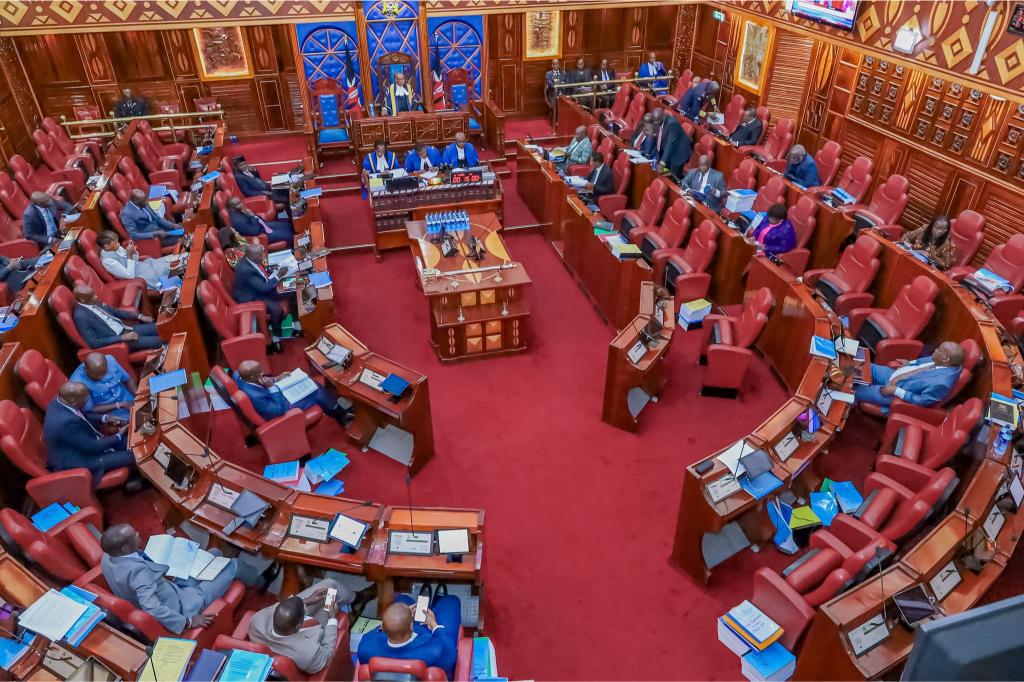 Senate targets stronger role with radical constitutional changes