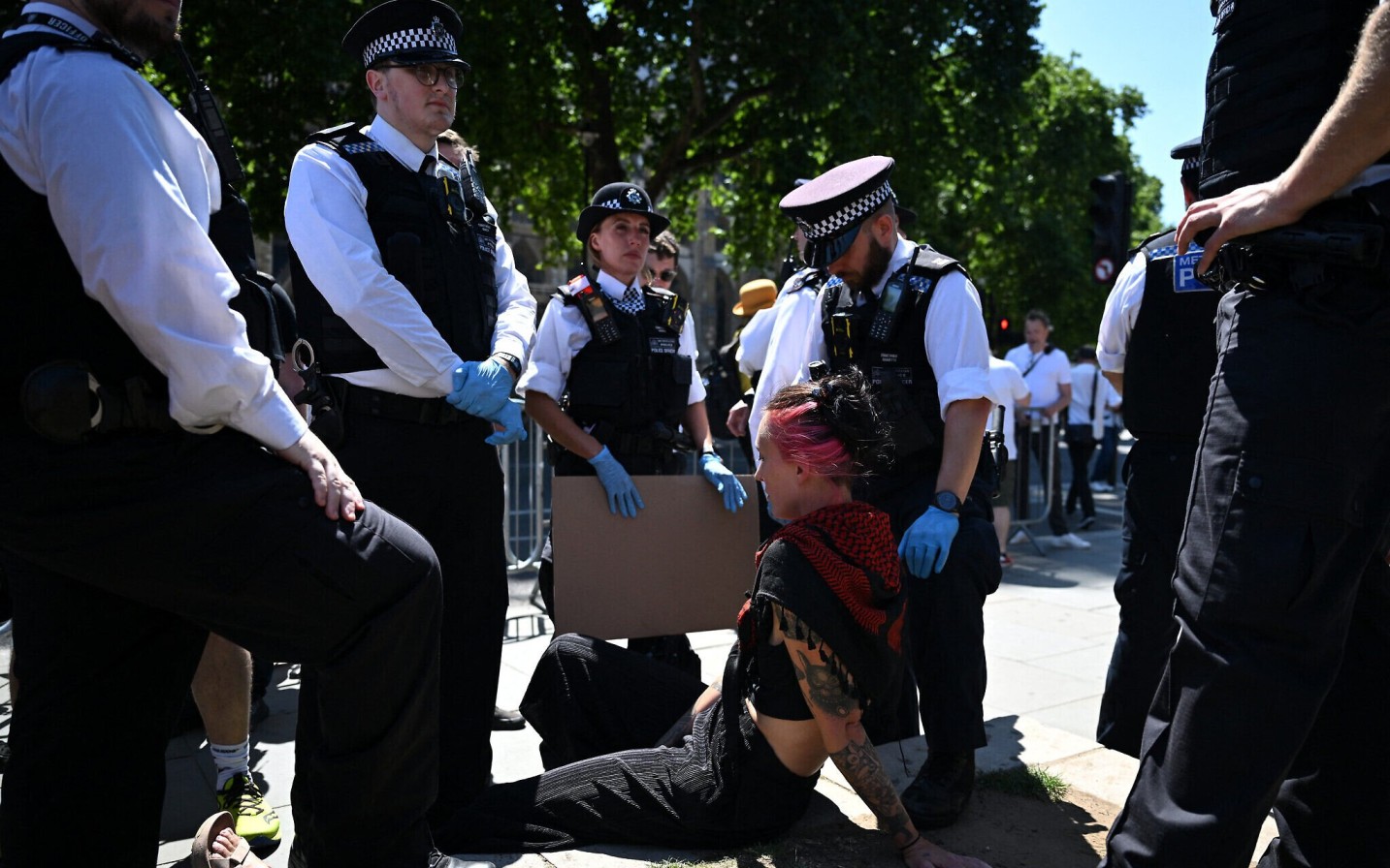 Dozens arrested in London as protests continue over ban on Palestine action