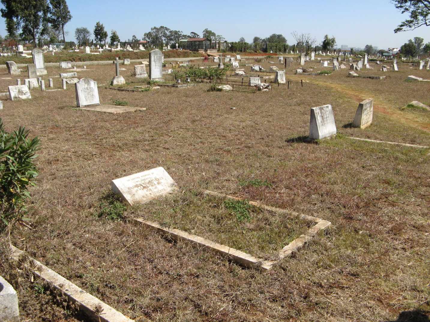 INFOGRAPHIC: What you need to know about Langata Cemetery