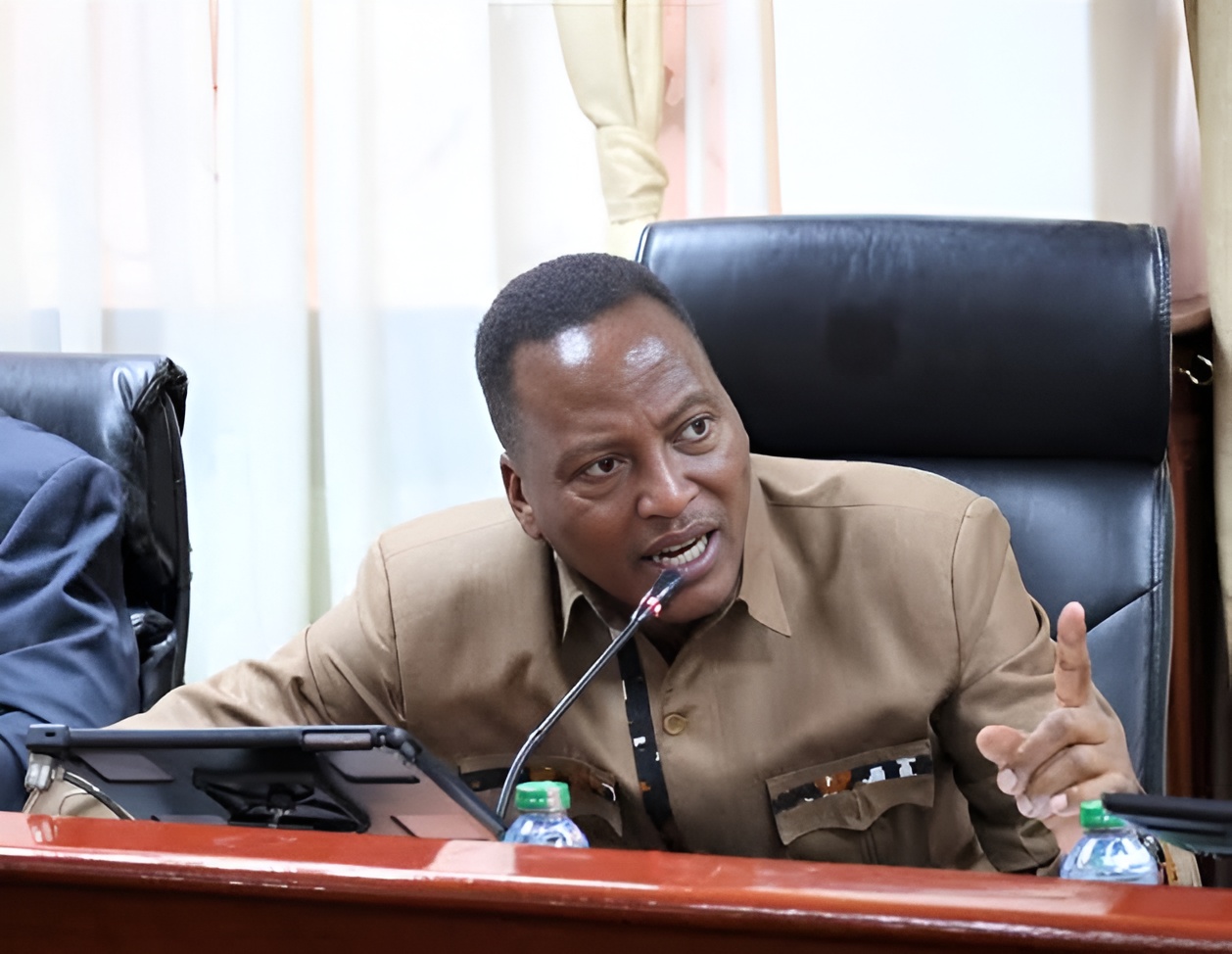 Senate calls for 100 diaspora voting centres to boost participation