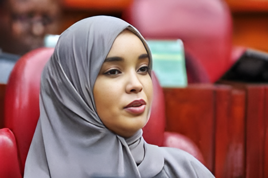 Wajir woman rep Jehow sparks outrage over vote rigging remarks