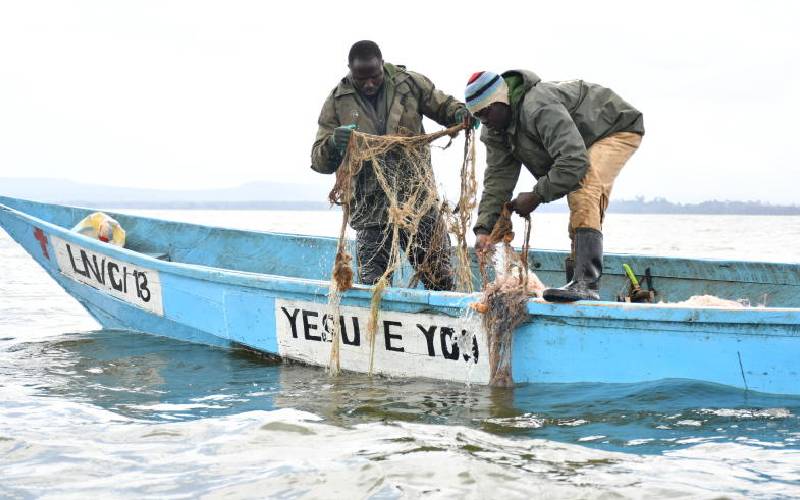 Over 20 deaths reported in Lake Naivasha due to illegal fishing and hippo attacks