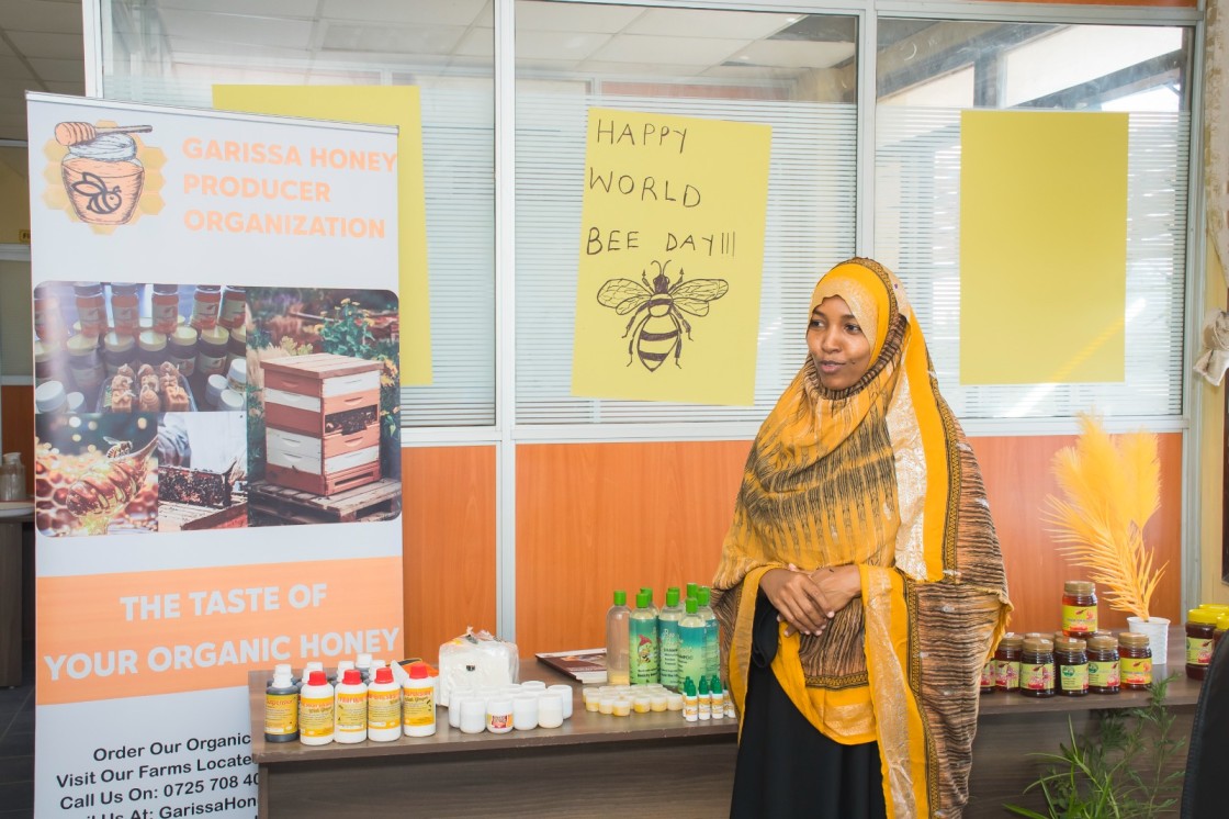 How beekeeping is protecting ecosystems and livelihoods in Garissa