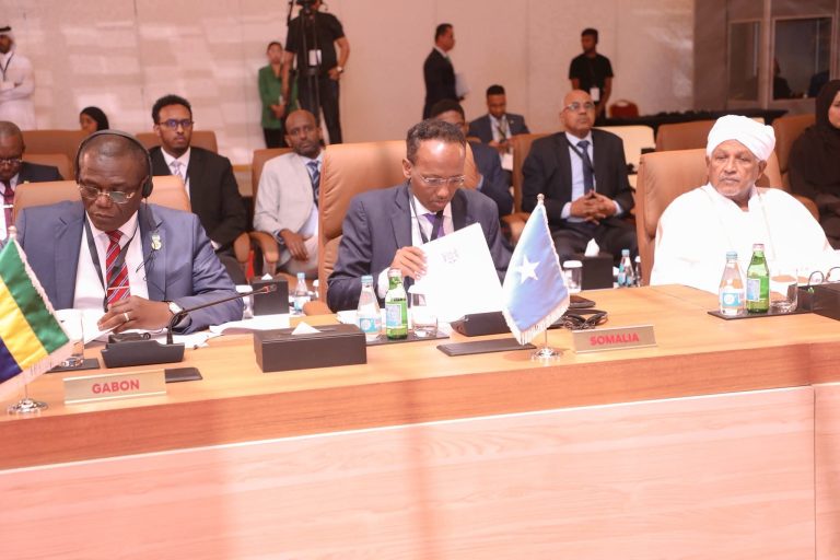 Islamic Cooperation pledges stronger support as Somalia showcases security gains