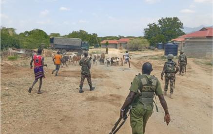 Police recover stolen livestock after attack on Turkana traders
