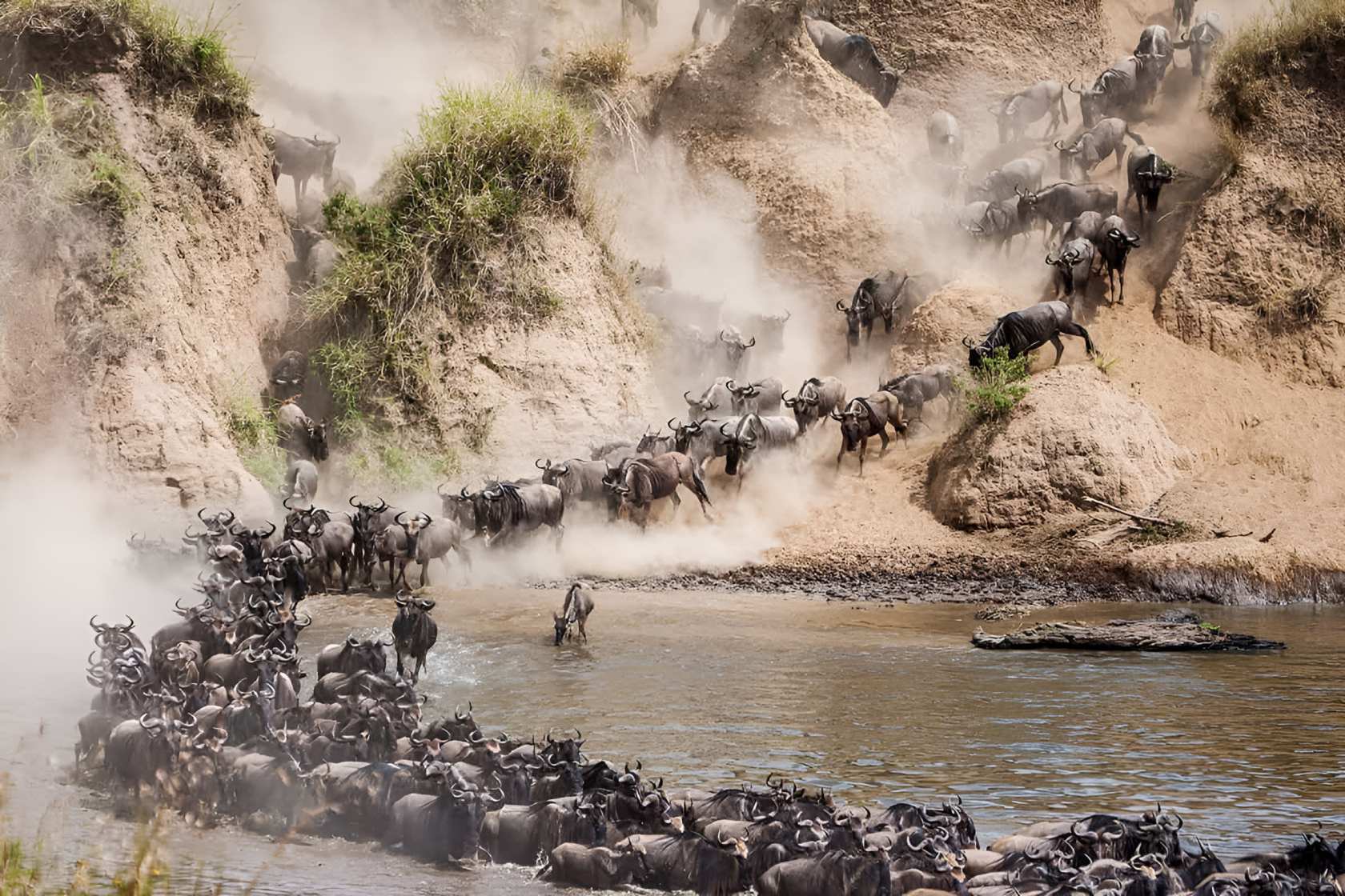 Narok County under Senate scrutiny over park fee system