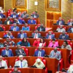 MPs demand answers on Sh300 million wildlife claims system