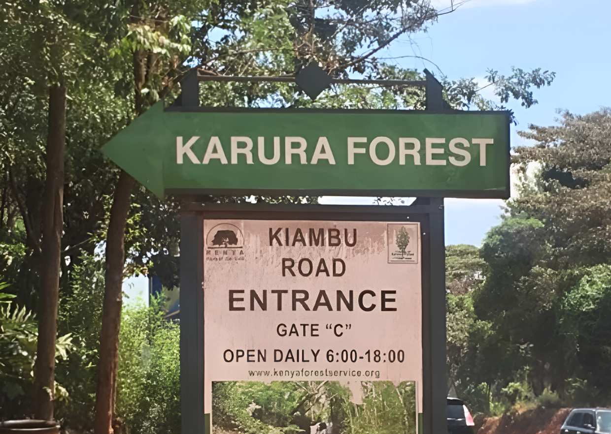 KFS launches aerial surveillance in Karura Forest amid safety concerns