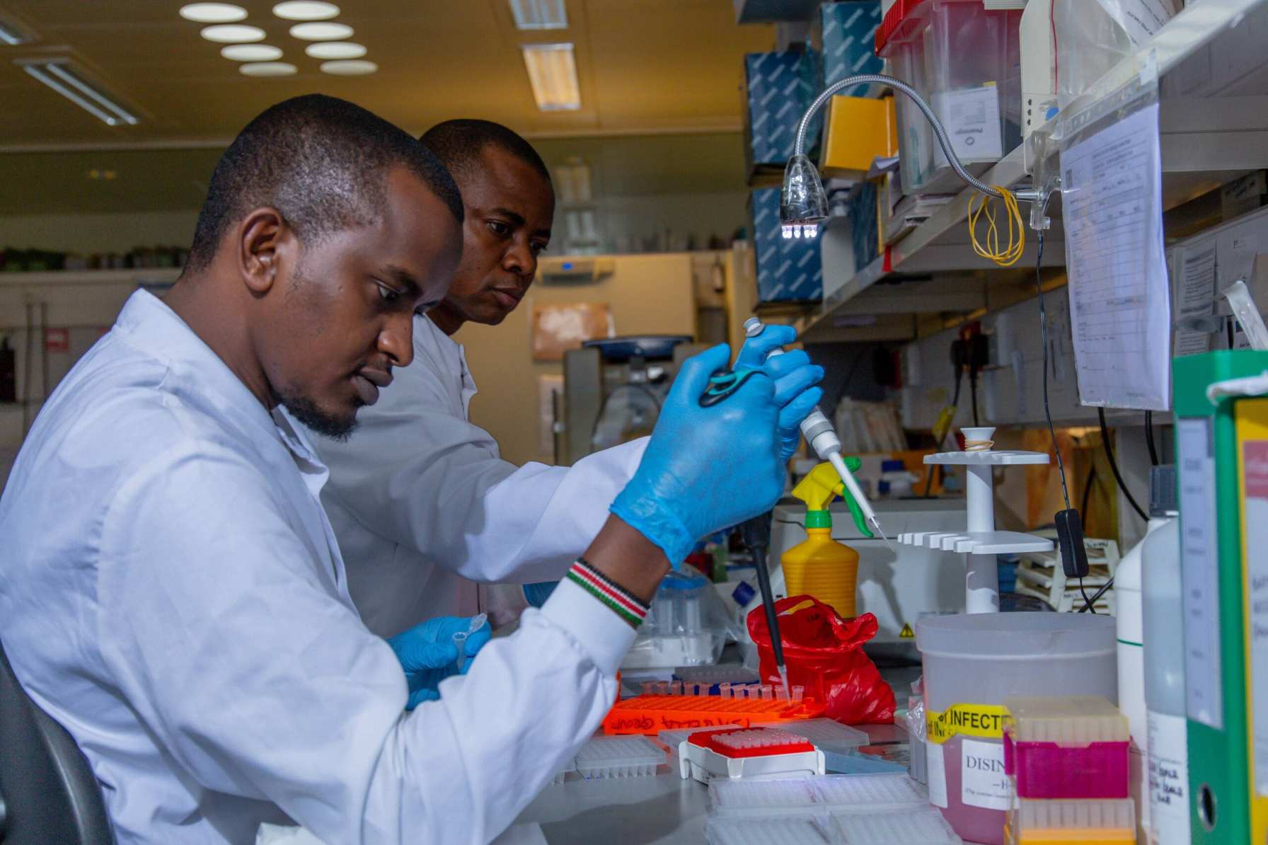 Kemri moves to introduce cheaper plant-based medicines