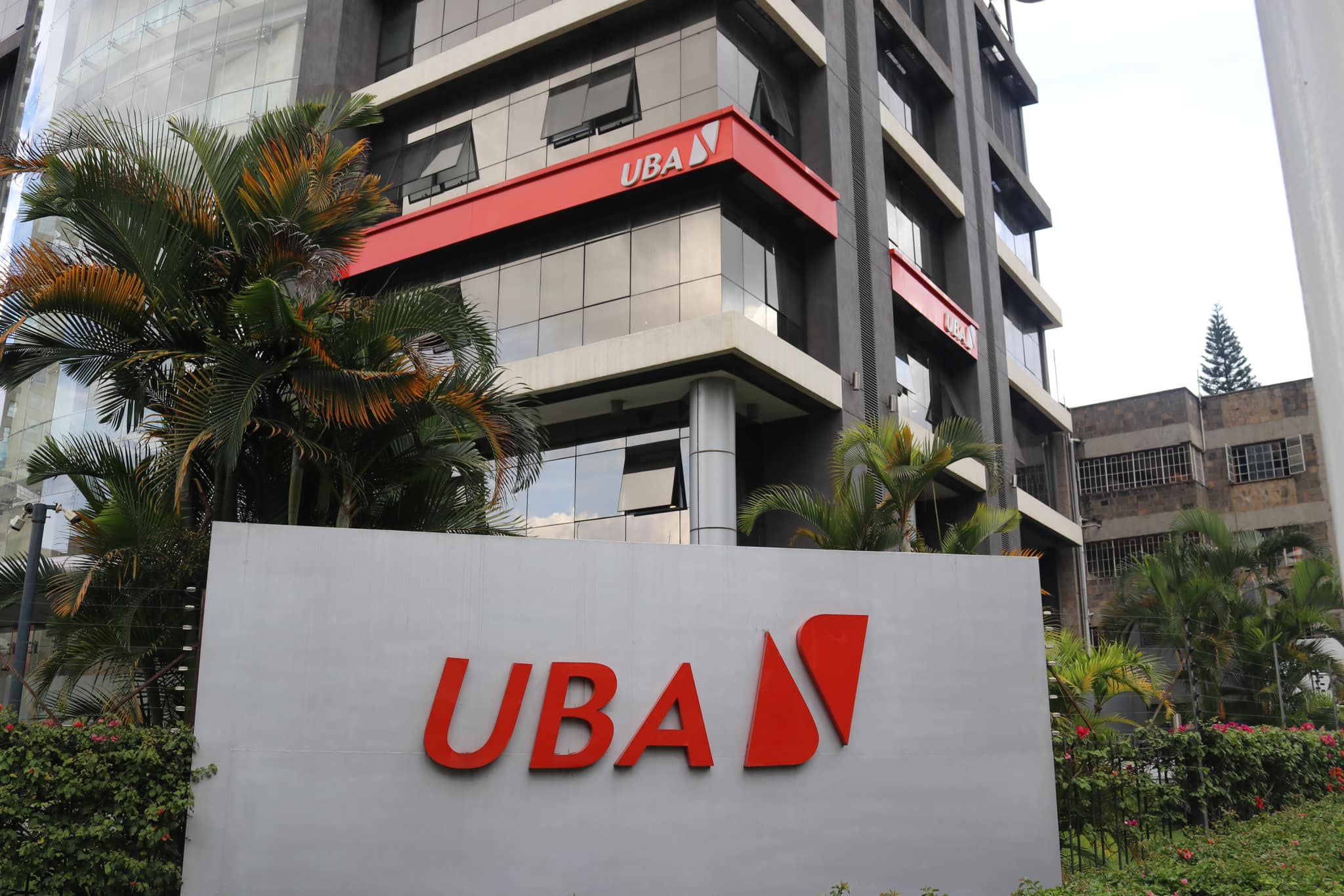 UBA Kenya cuts losses, awaits fresh capital injection