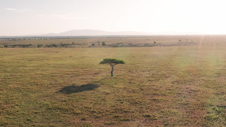 Maasai Mara land dispute sparks Parliamentary probe