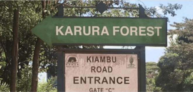 Why Karura Forest entry costs increased: KFS explains VAT, e-Citizen charges
