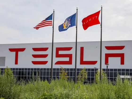 Elon Musk buys $1bn in Tesla stock as shares rally