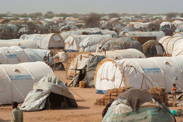 IGAD pushes for harmonised migration data amid rising displacement