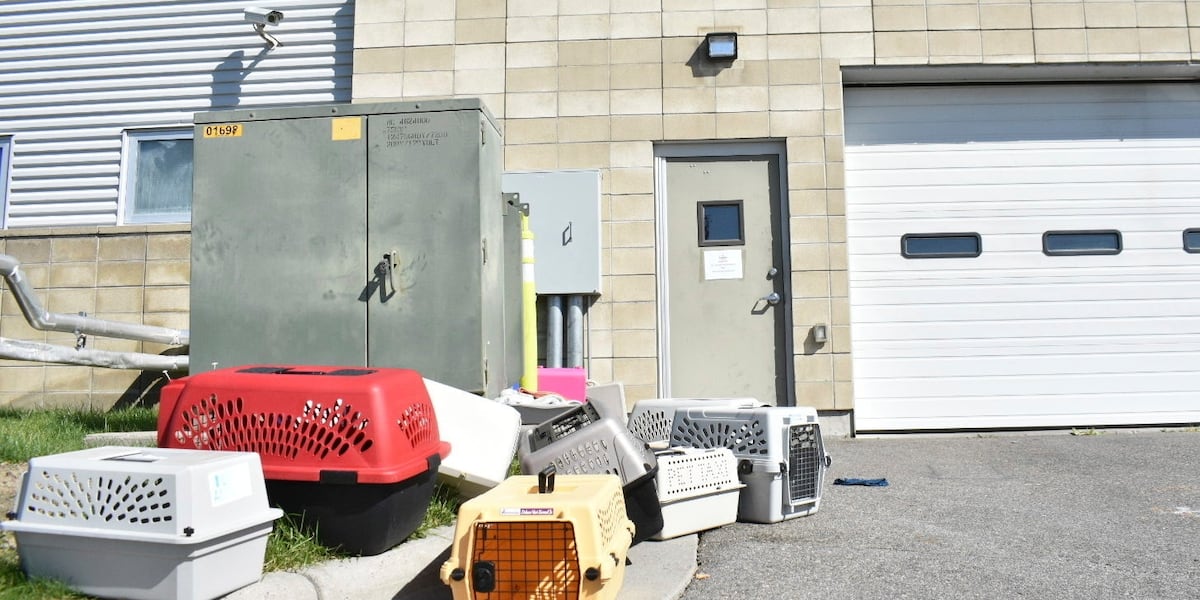 Workers taken to hospital after FBI uses furnace to burn seized meth