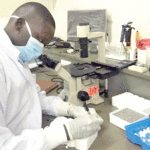 Study shows how Turkana people genetically survive extreme desert conditions