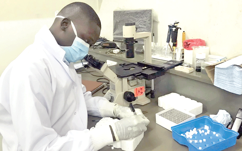 Study shows how Turkana people genetically survive extreme desert conditions