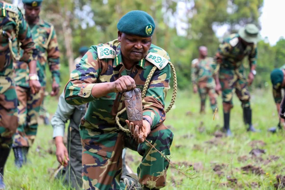 Kenya Forest Service rejects allegations of brutality in Elgeyo Marakwet incident