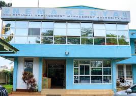 NEMA calls public hearing on proposed Isulu-Bushiangala gold mine