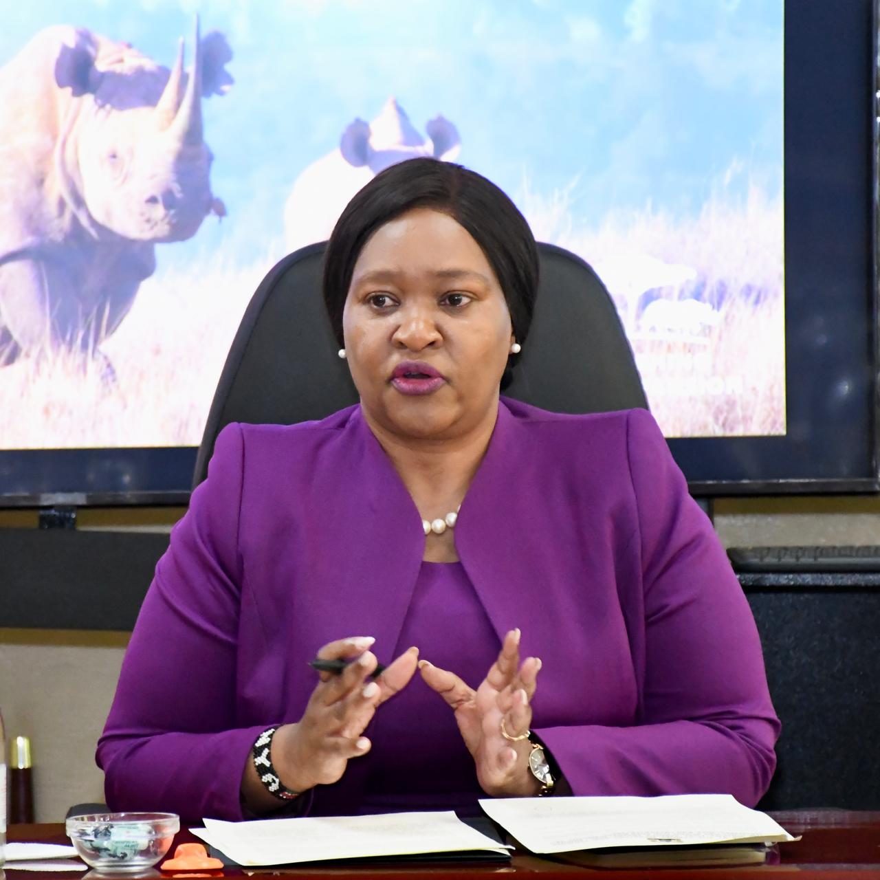 Kenyan parks draw over 300,000 festive visitors as tourism rebounds