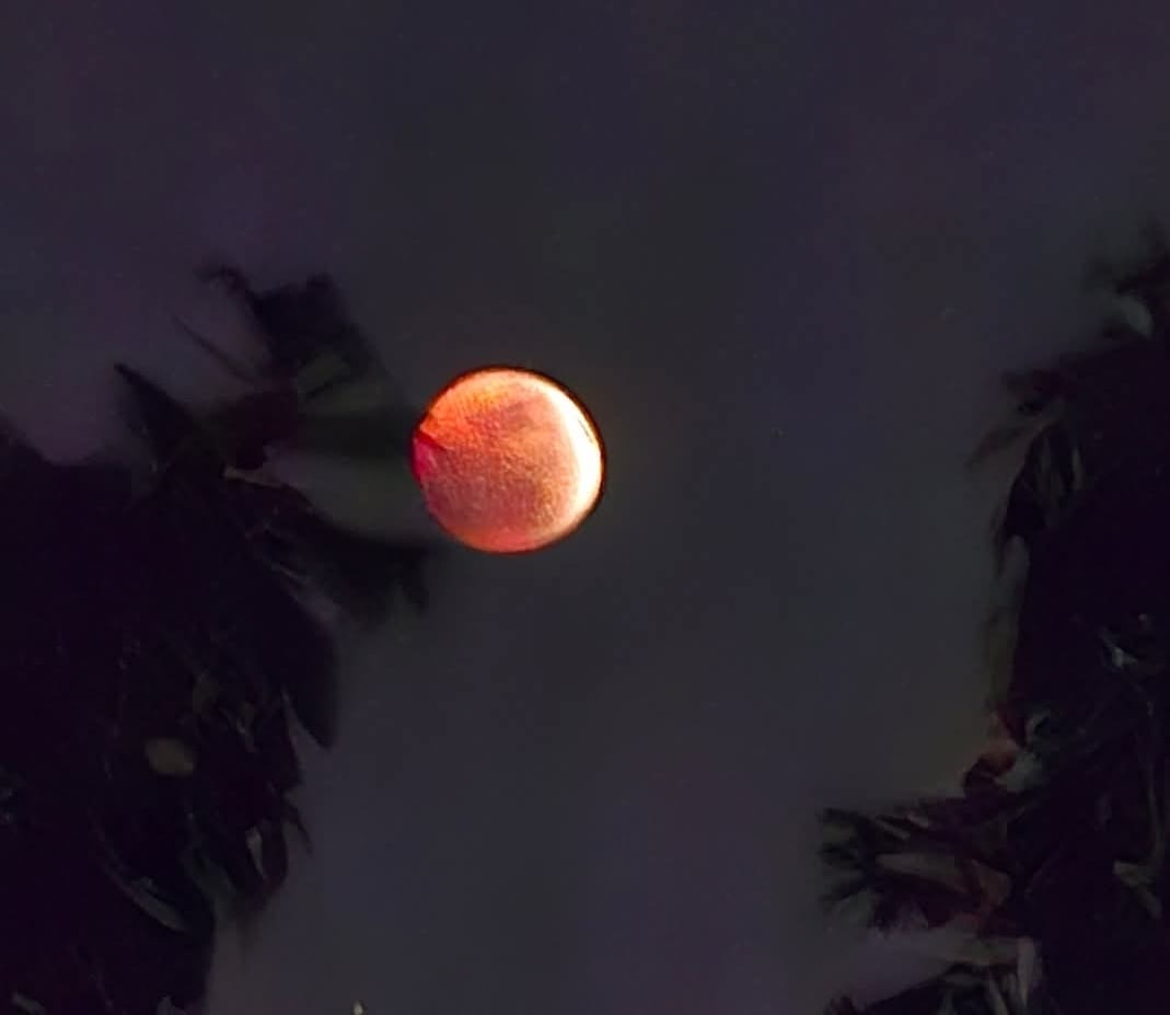 ‘Blood Moon’ eclipse prompts special prayers among Muslims in Garissa