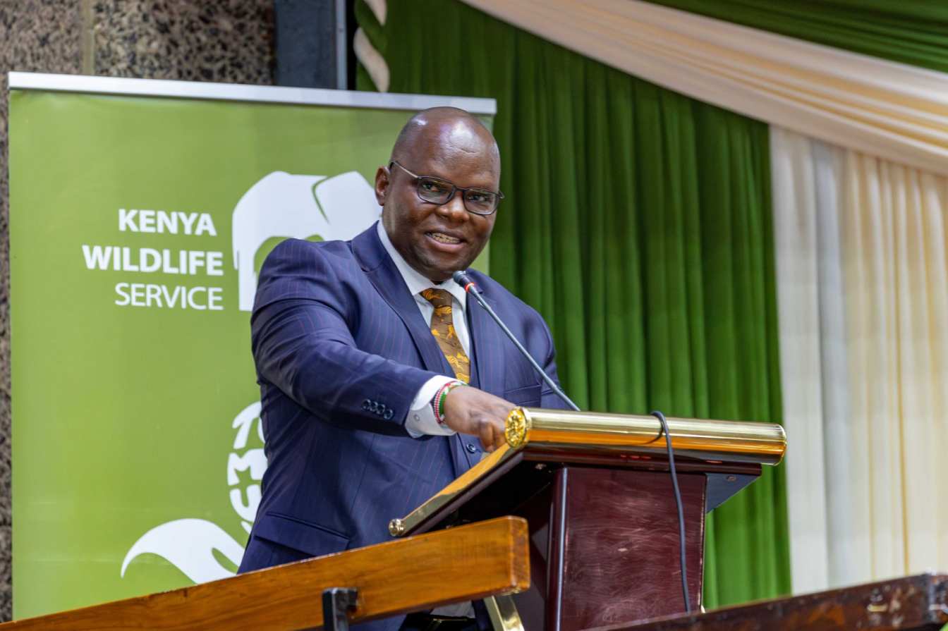 KWS restores festive season bus shuttle to national parks