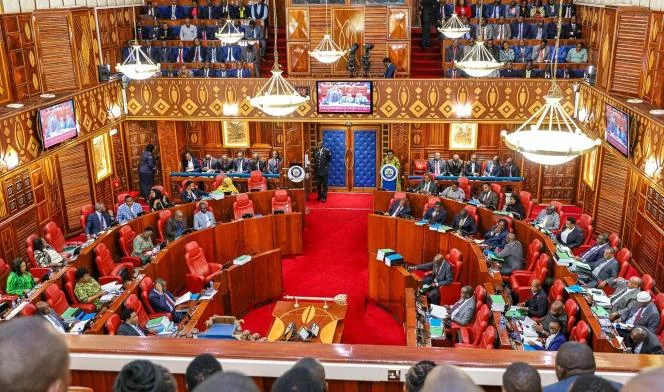 Senate uncovers education gaps as thousands of children remain out of school